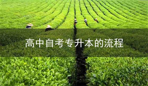 高中自考专升本的流程