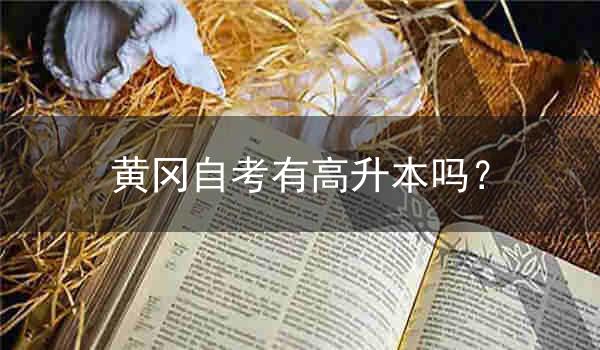 黄冈自考有高升本吗?