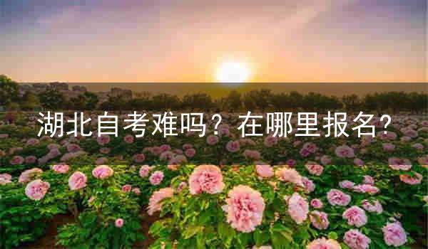 湖北自考难吗?在哪里报名?